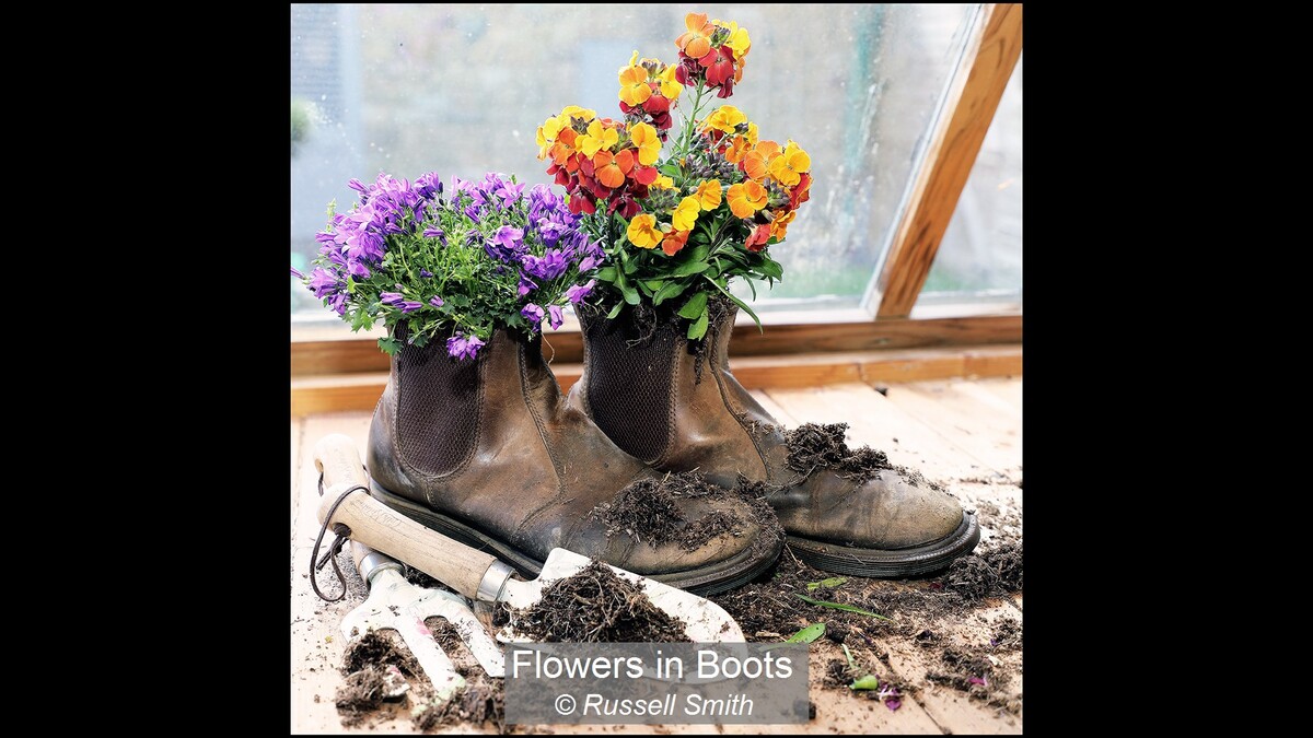 Flowers in Boots
